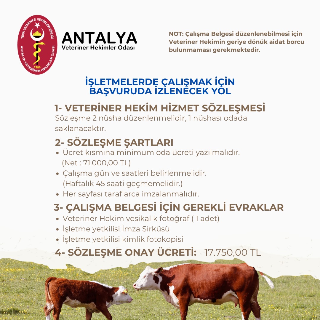 İşletme Sözleşme Şartları