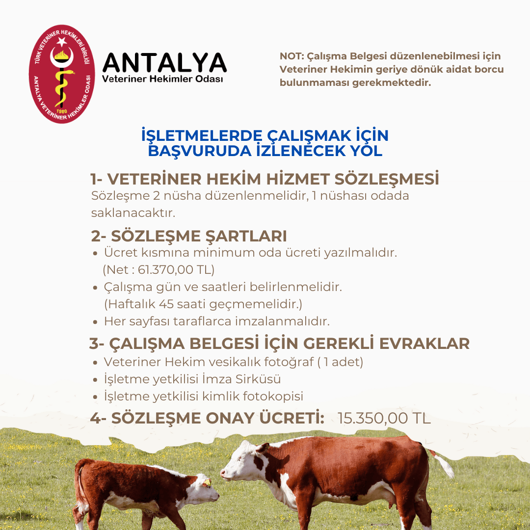 İşletme Sözleşme Şartları
