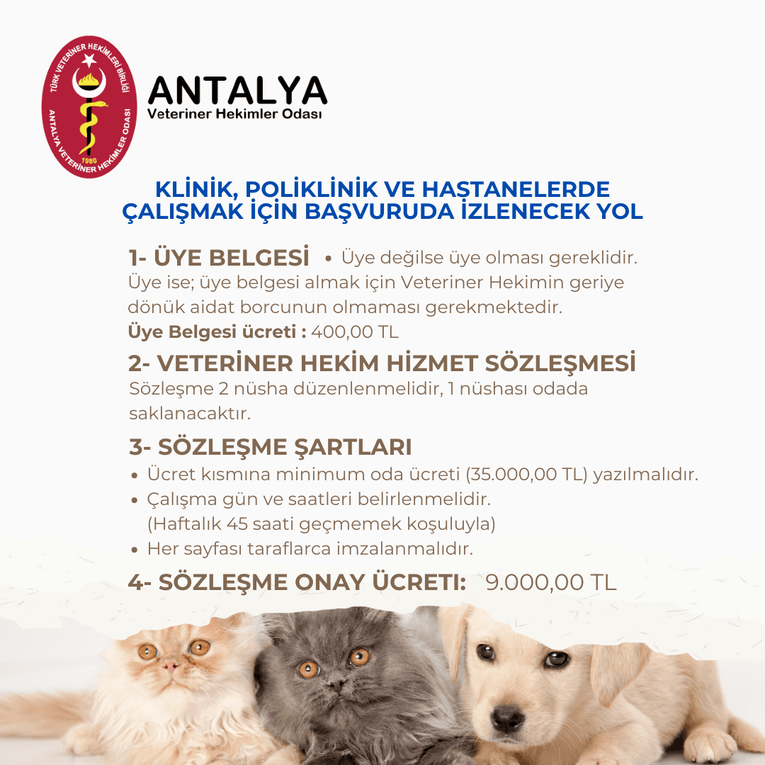 Klinik Sözleşme Şartları