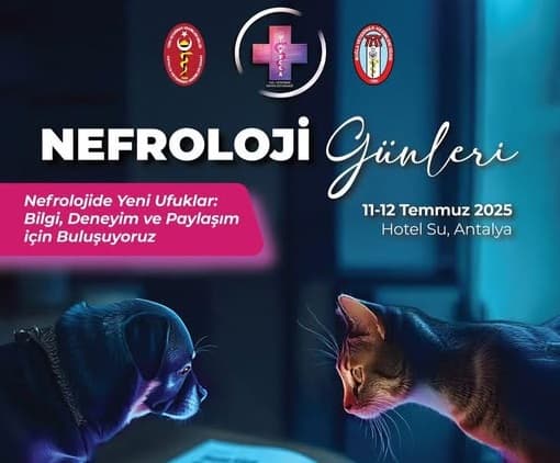 Nefrolojide Yeni Ufuklar: Bilgi, Deneyim ve Paylaşım İçin Buluşuyoruz